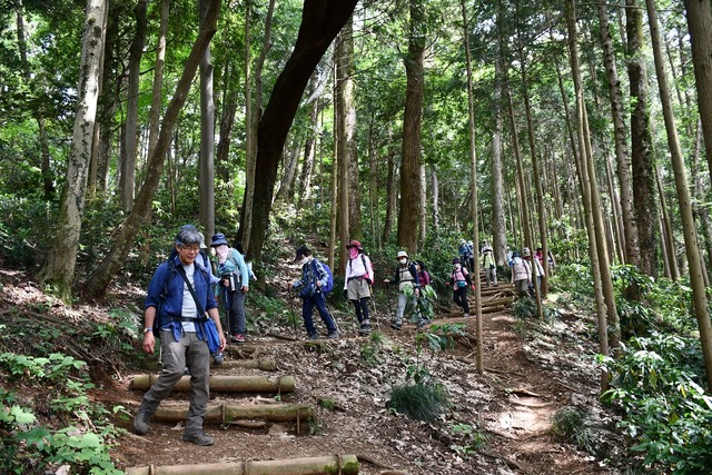 06_いろはの森を下山する一行