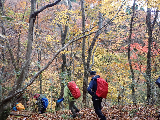 ６，紅葉の下山道