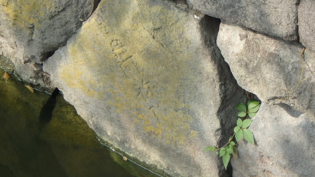 PA130075