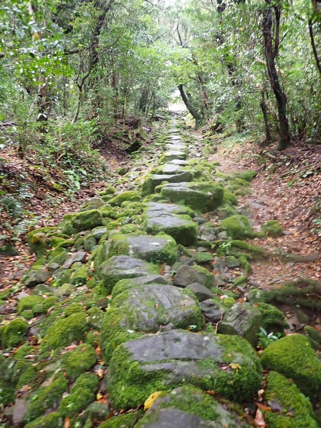 写真１３　裸足参りの石畳
