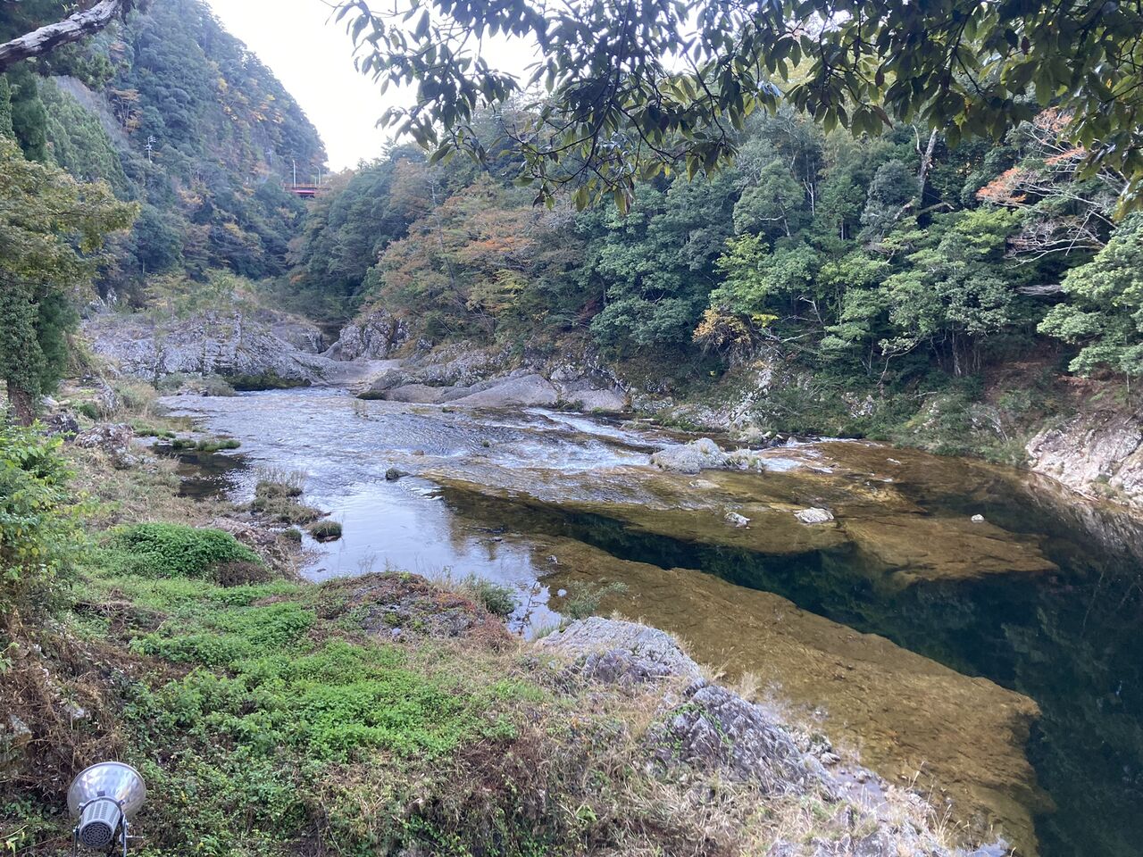鳳来寺山と乳岩峡 紅葉の奥三河へ まいたび ツアーレポート By 毎日新聞旅行 Maitabi Jp