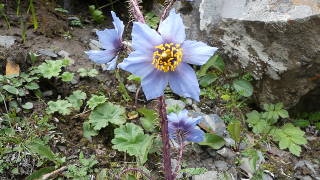 P1090978