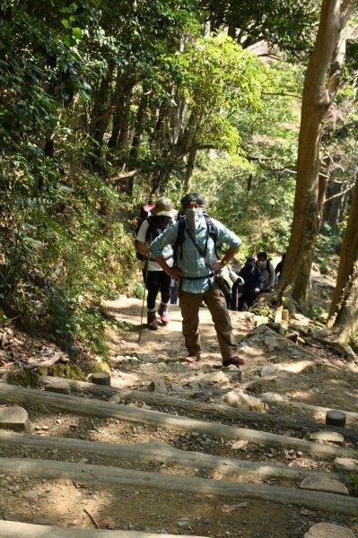 琵琶滝コースを登る一行