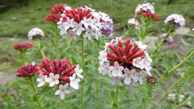 P1090640