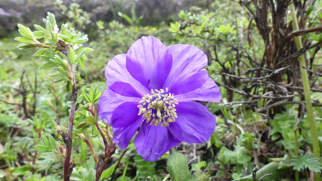 P1090847