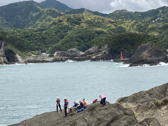 9亀の甲羅の上で一休み