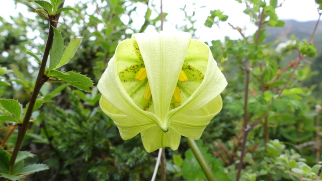 P1090761