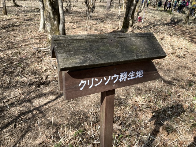 7屋根付き看板