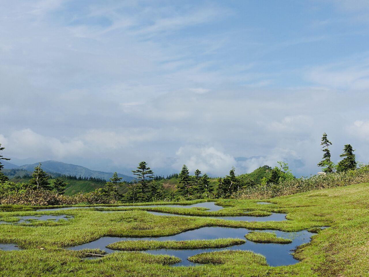 会津駒ガ岳と帝釈山 大草原のような頂稜部 美しい山です まいたび ツアーレポート By 毎日新聞旅行 Maitabi Jp