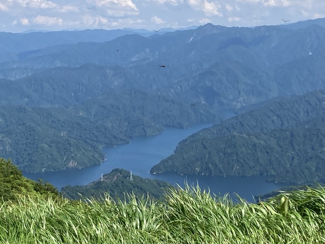 ５田子倉湖とトンボ