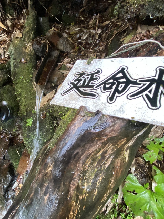 4延命水