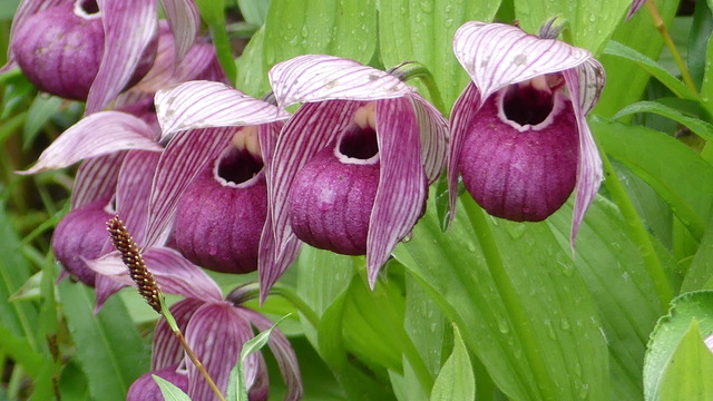 P1090499