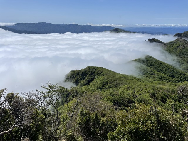 IMG_3457