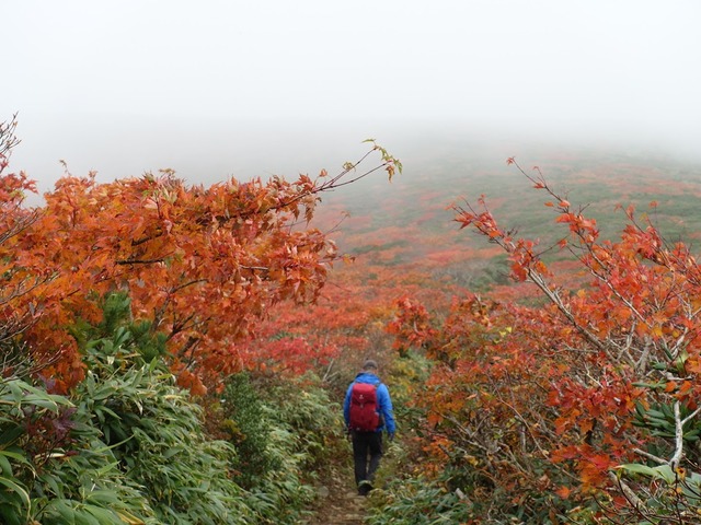 写真04_なかなか全貌を現してくれない