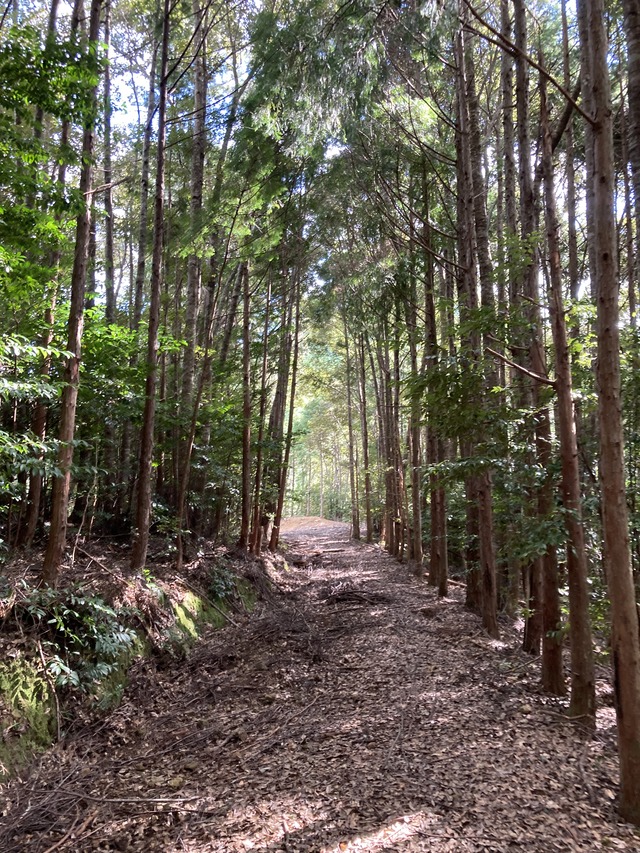 ３古座街道