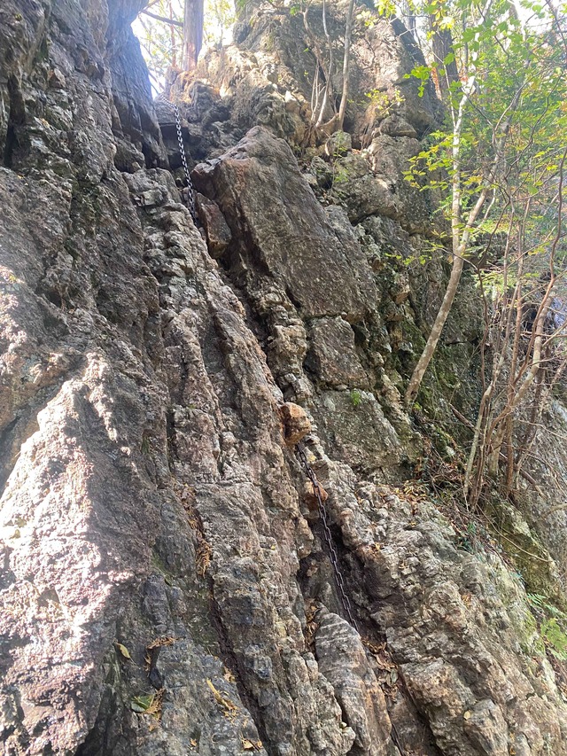 写真１７_14