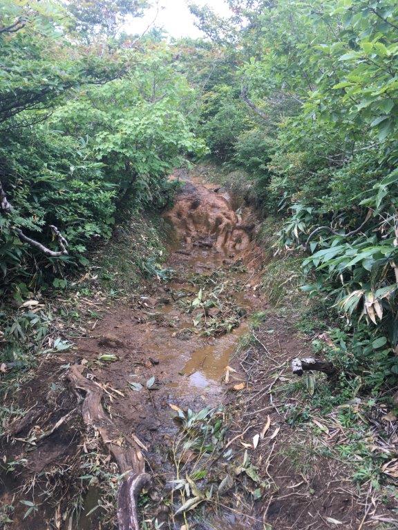 雨の影響で道が悪い東栗駒山コース