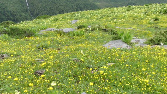 P1090788