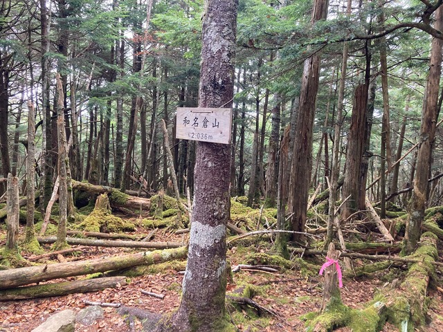 ⑬私たち以外誰もいない静かな山頂/和名倉山