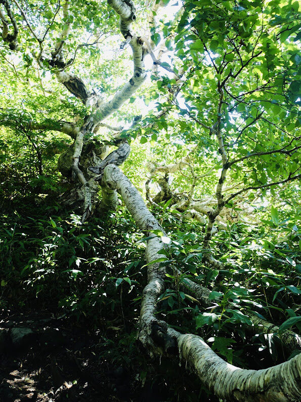 写真05_登山口はまだ夏の雰囲気