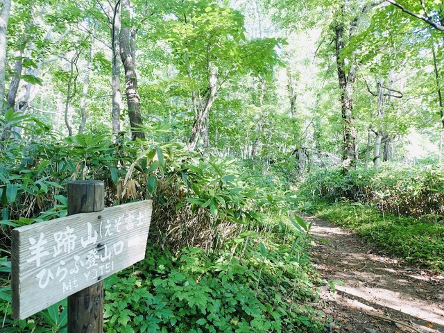 写真03_登山口はまだ夏の雰囲気