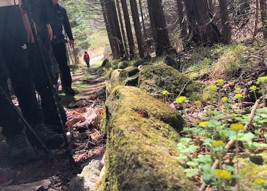 3.登山道の花その1