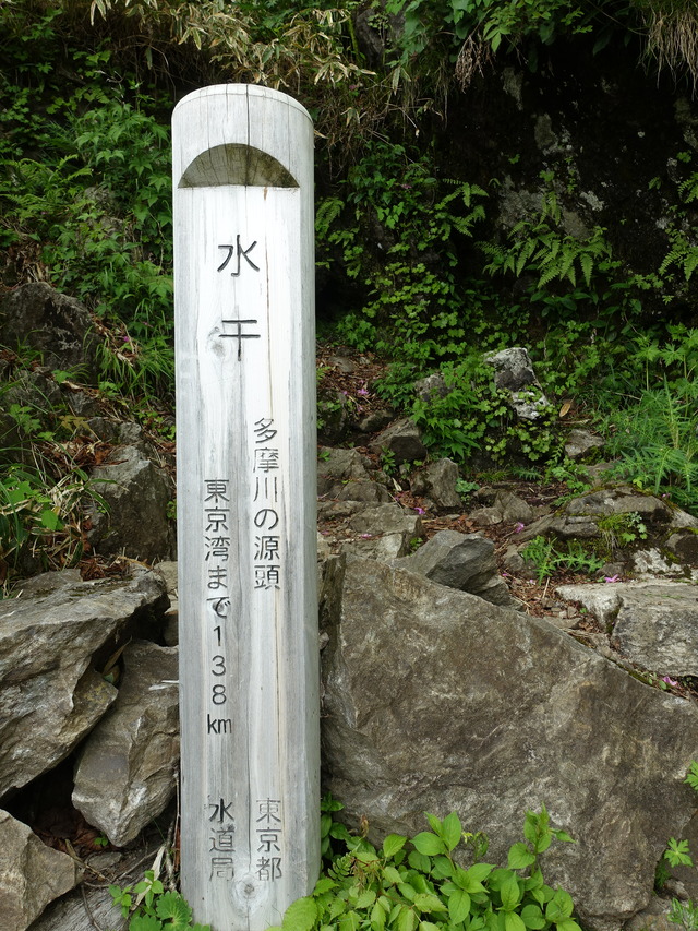 DSC08841