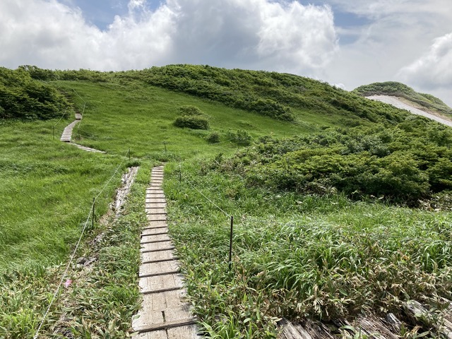 ６辿ってきた道を振り返る