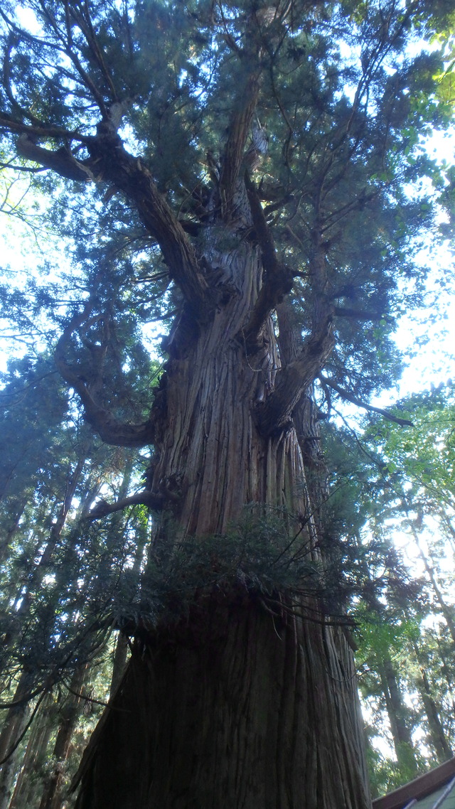 P9300379