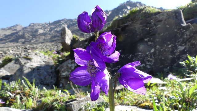 P1100258