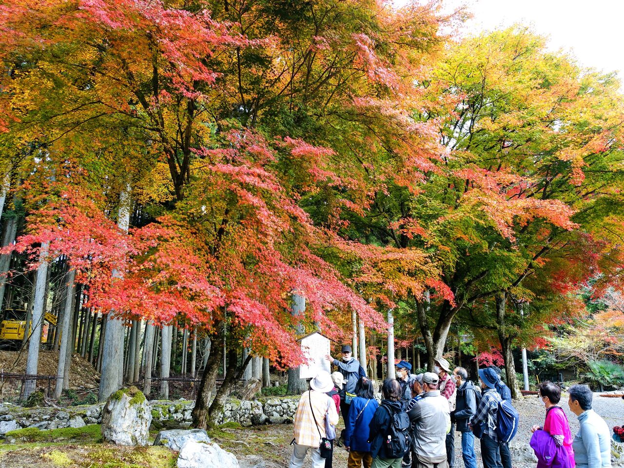 紅葉「い・ろ・は」 大切な想い出。秋 4K] 紅葉の絶景鉄道 2021 秋 Railroad Scenery in the
