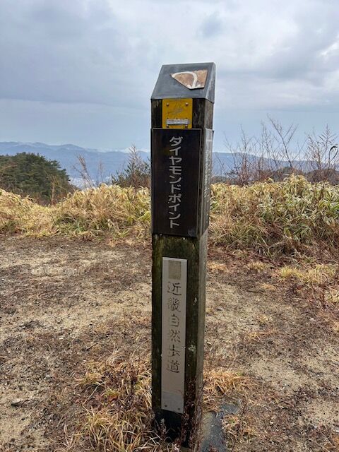 3.ダイアモンドポイント