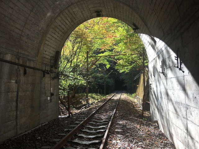 トンネルから見る紅葉はまた美しい