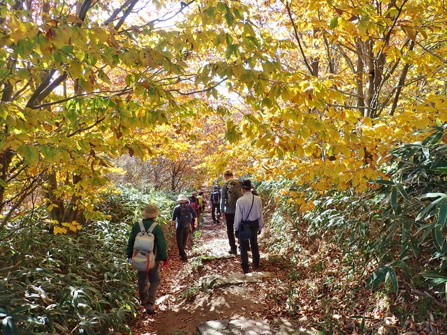 2、六甲山縦走路