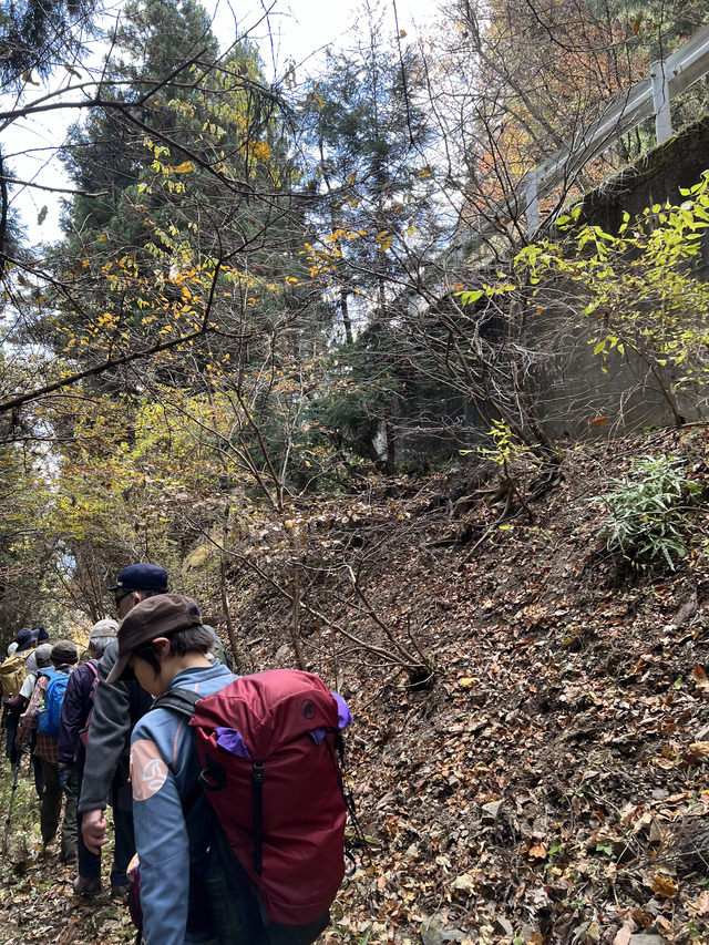 林道から登山道へ