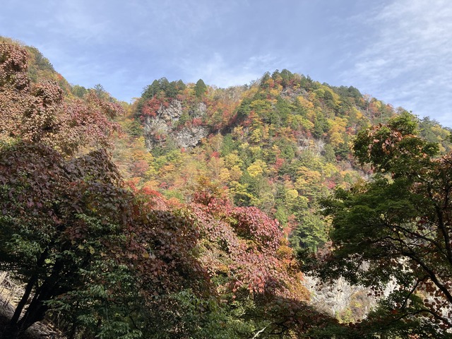 4紅葉と岩壁