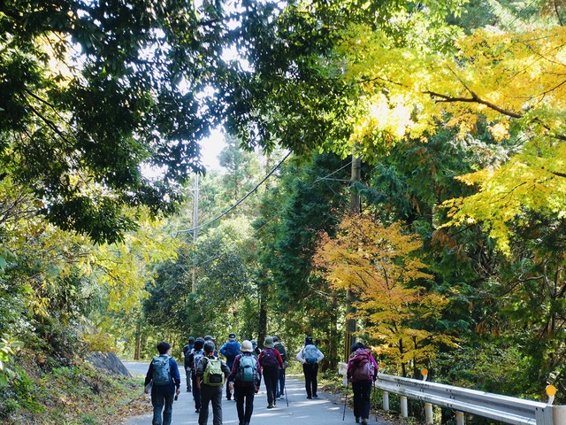 写真６なだらかに登っていく道。