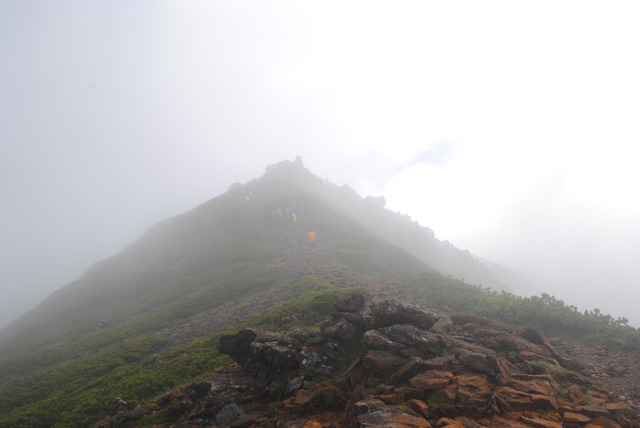 DSC_0447 (3)