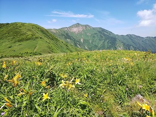 3暑さに悩まされた三ノ峰