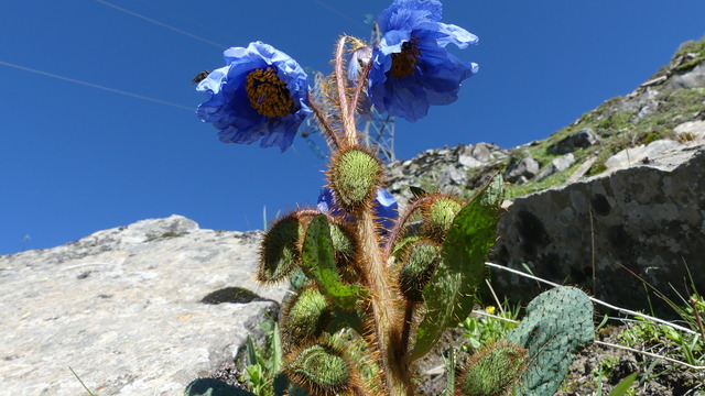 P1100244