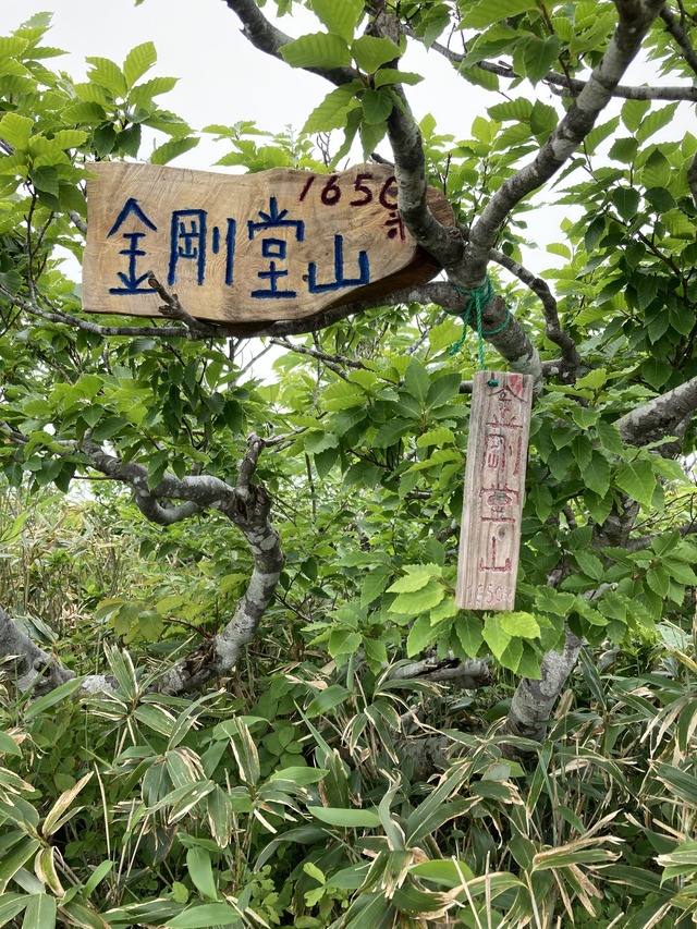 25中金剛