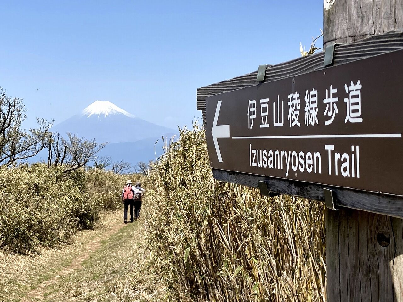 添乗員 上野と行く 伊豆山稜線歩道縦走 天城峠 仁科峠 金冠山 M1753 まいたび ツアーレポート By 毎日新聞旅行 Maitabi Jp 添乗員 上野と行く 伊豆山稜線歩道縦走 天城峠 仁科峠 金冠山 M1753 まいたび ツアーレポート By 毎日新聞旅行 Maitabi Jp