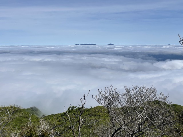 IMG_3460