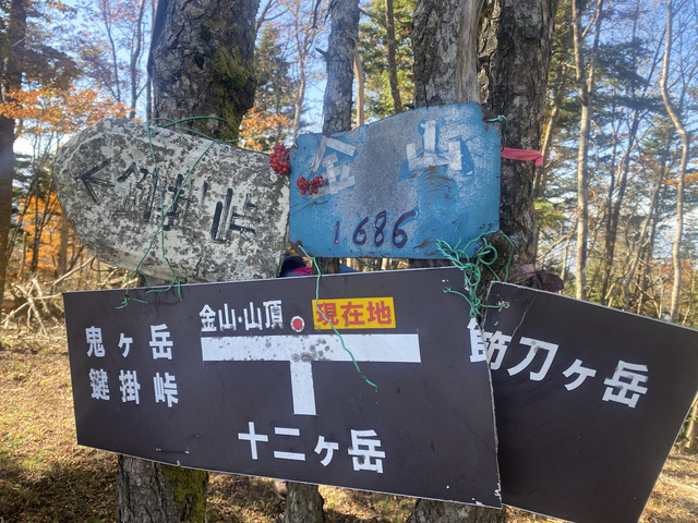写真11