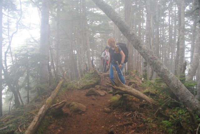 朝もやの登山道を進む