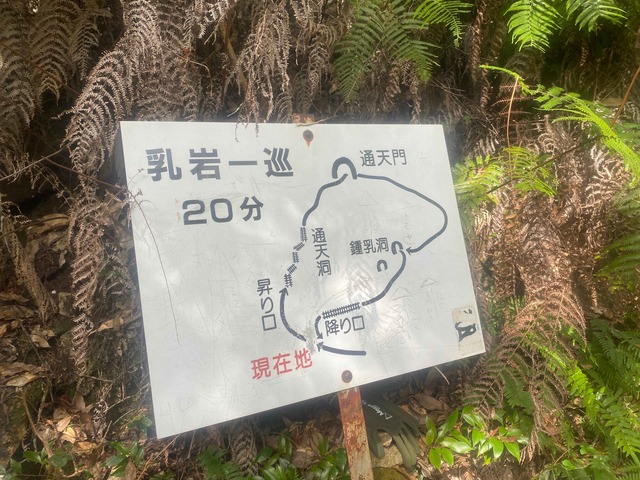 写真１３_10