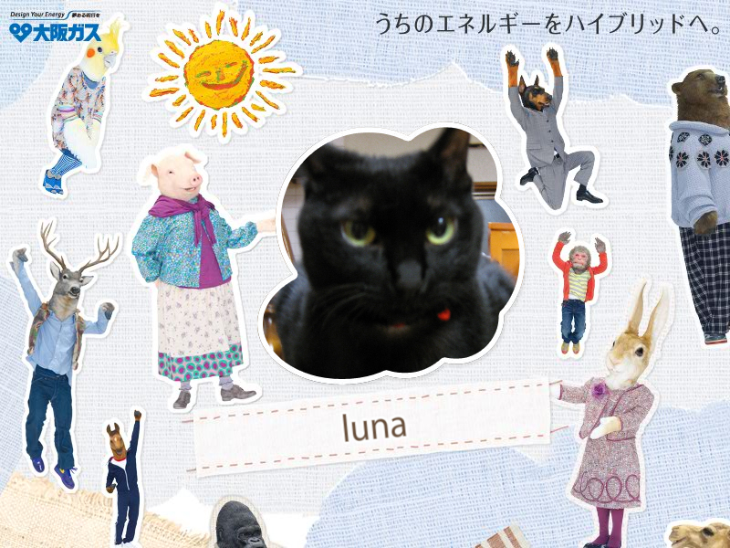 大阪ガスの ハイブリッド Another Room