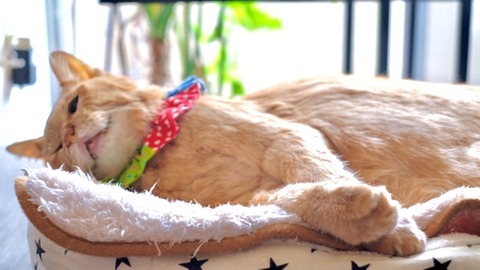 E0EE8F9A-4413-4ABF-A0BF-B3E38FEFECF3