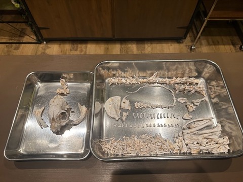 4A1C07CE-7103-48F8-A50A-9163A2D5E417