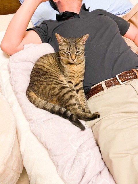 D05D4770-E76F-455E-ABF2-9B4368A1F487